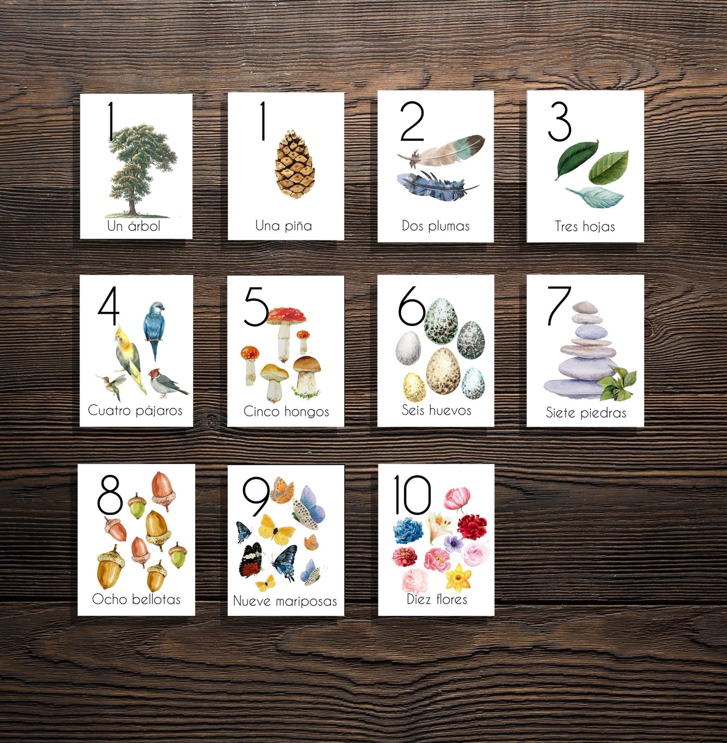 Spanish Counting in Nature Cards 1-10 - Charlotte Mason Simple Spanish