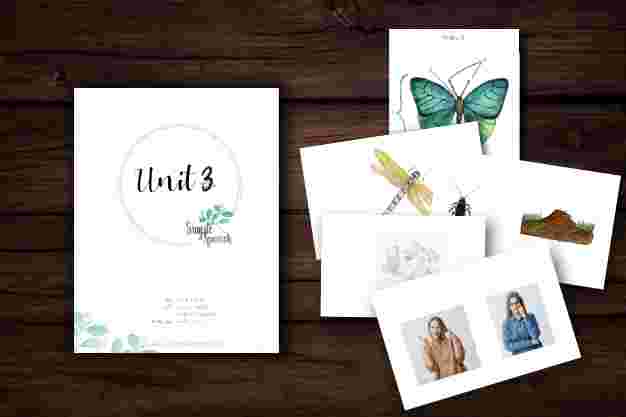 Year 1 Unit 3 - Charlotte Mason Simple Spanish