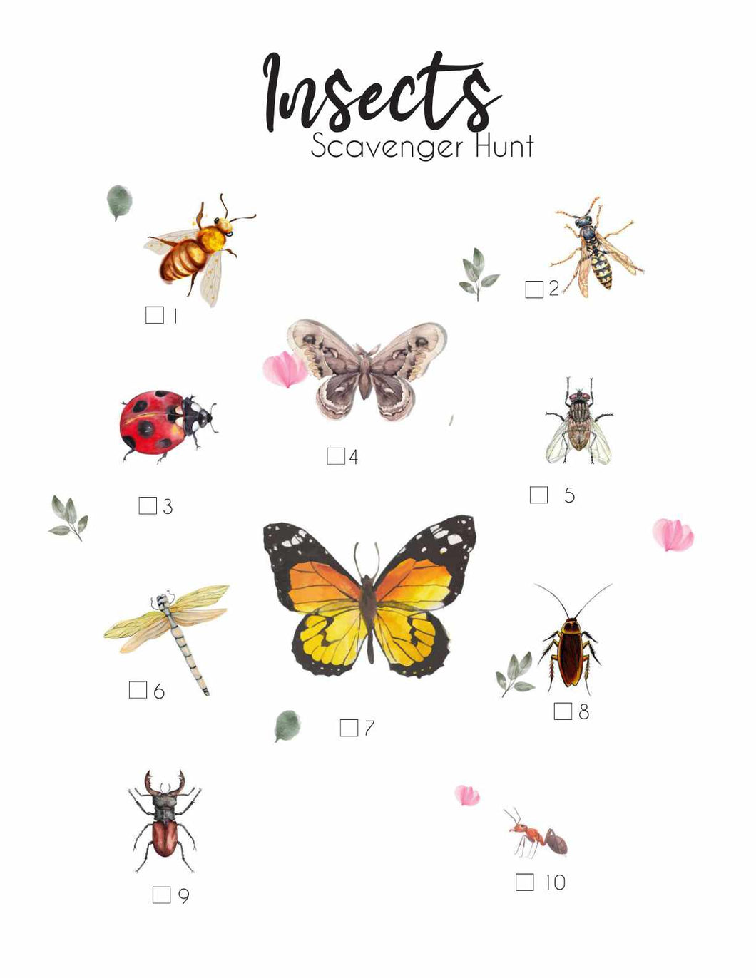 Insects Scavenger Hunt - Charlotte Mason Simple Spanish