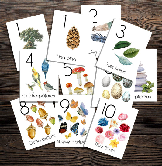 Spanish Counting in Nature Cards 1-10 - Charlotte Mason Simple Spanish