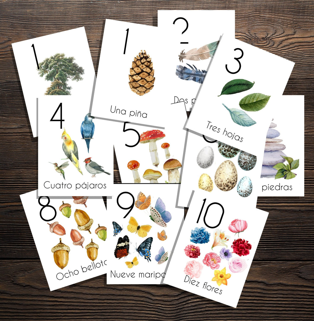 Spanish Counting in Nature Cards 1-10 - Charlotte Mason Simple Spanish